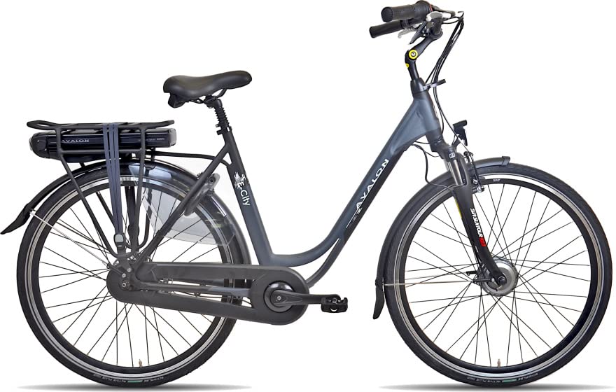 E-City+ 28 Pulgada 54 cm Mujer 7V Rollerbrake Antracita